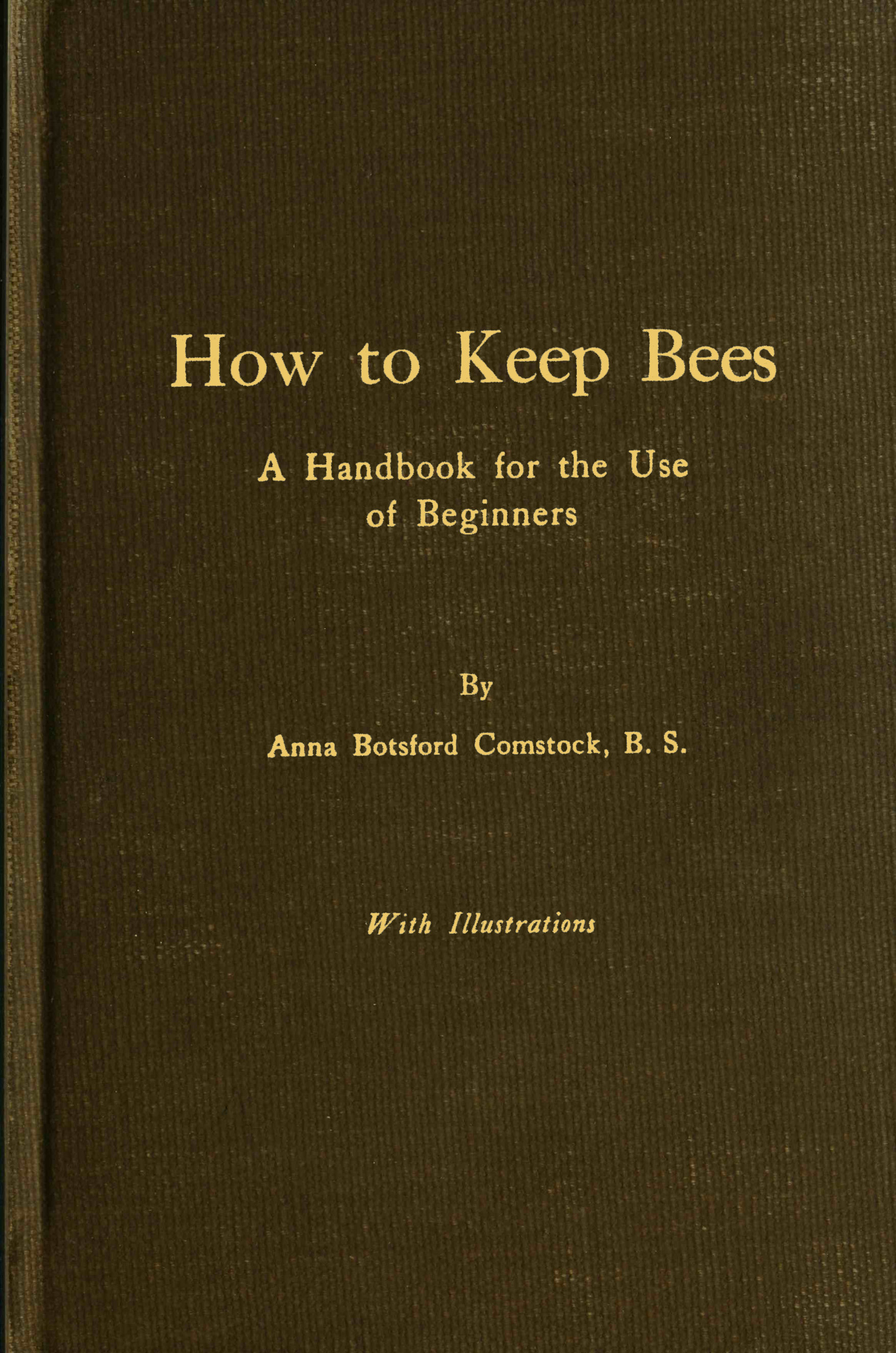 How to keep bees