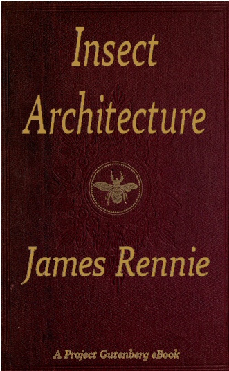 Insect Architecture