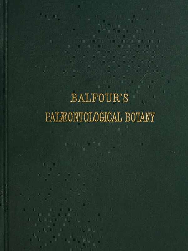 Introduction To the Study of Palæontological Botany