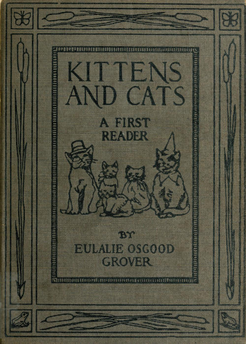 Kittens and Cats