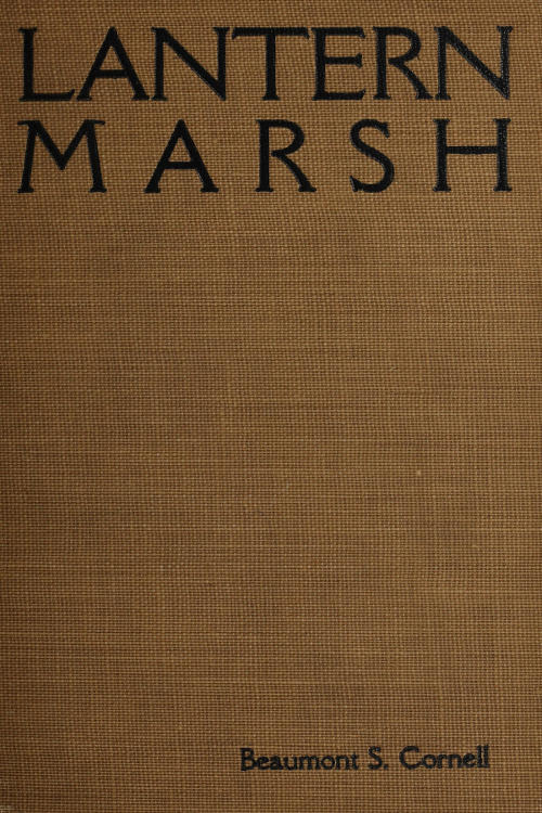 Lantern Marsh