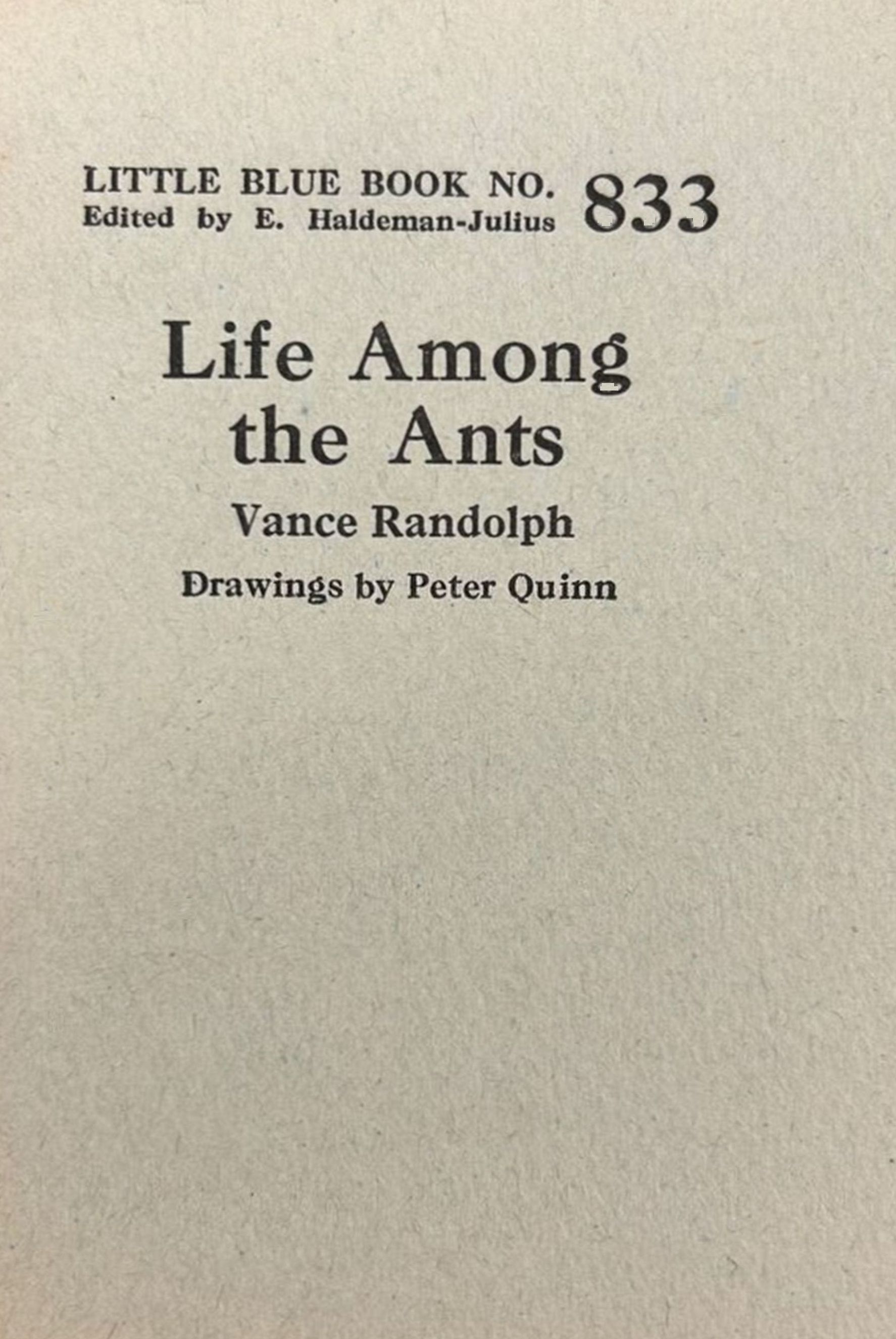Life among the ants