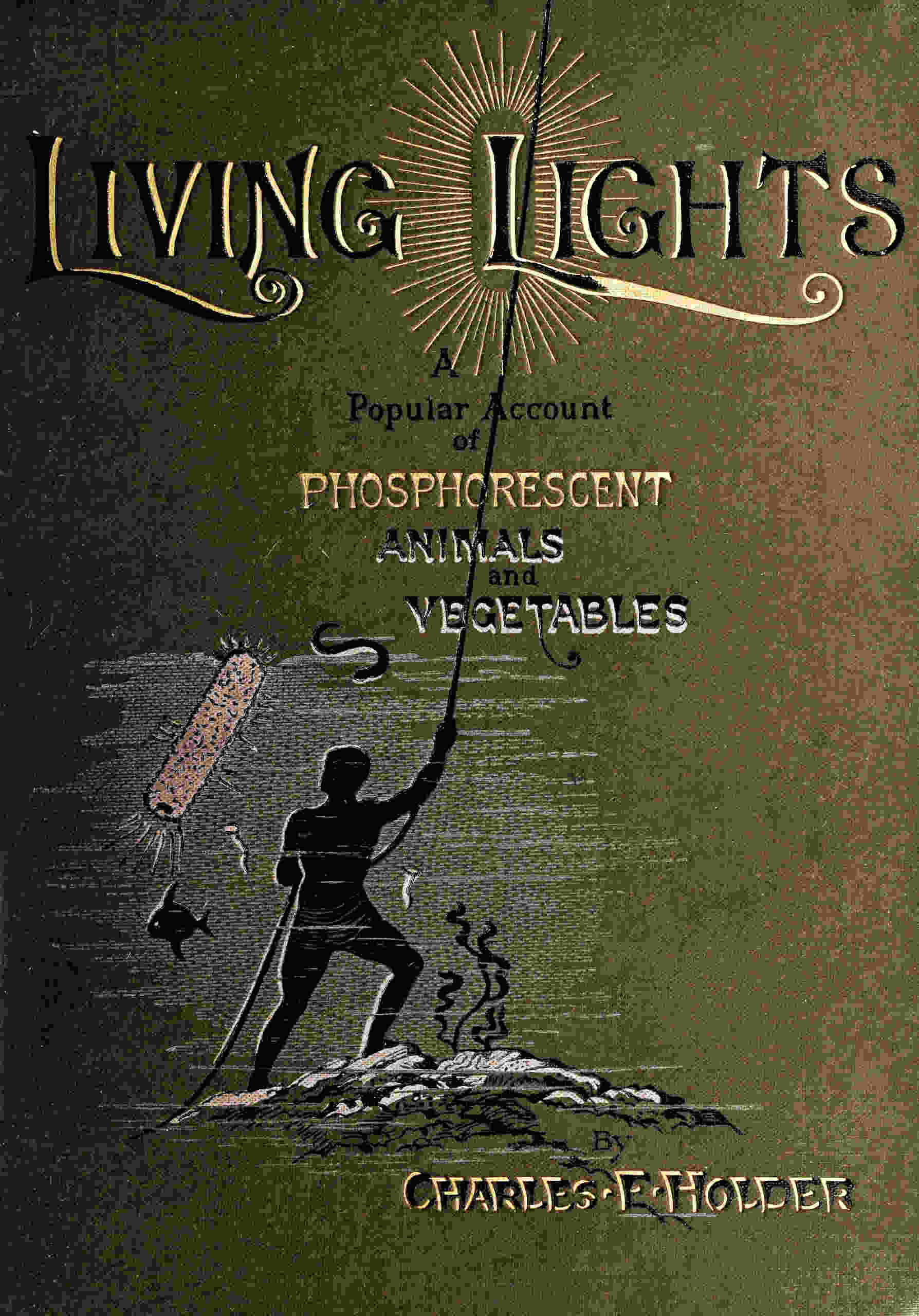 Living Lights