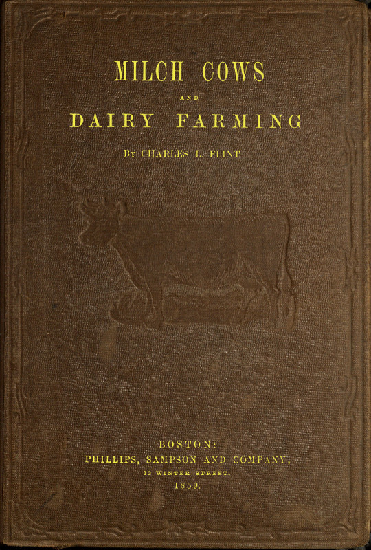 Milch Cows And Dairy Farming