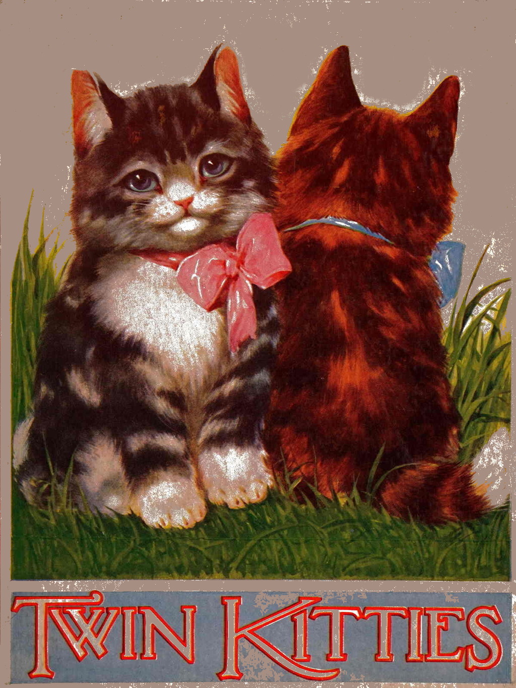 My Twin Kitties