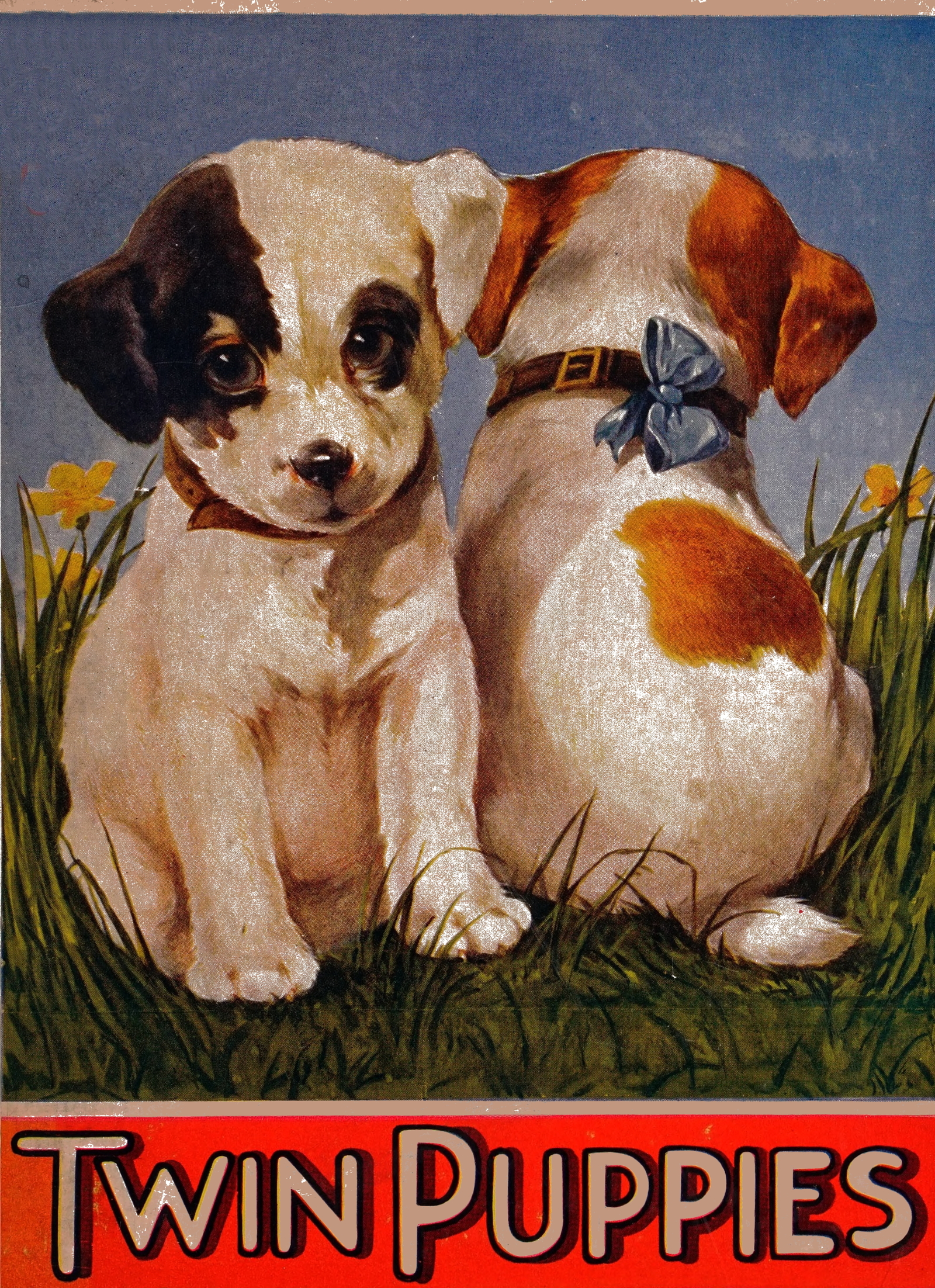 My Twin Puppies