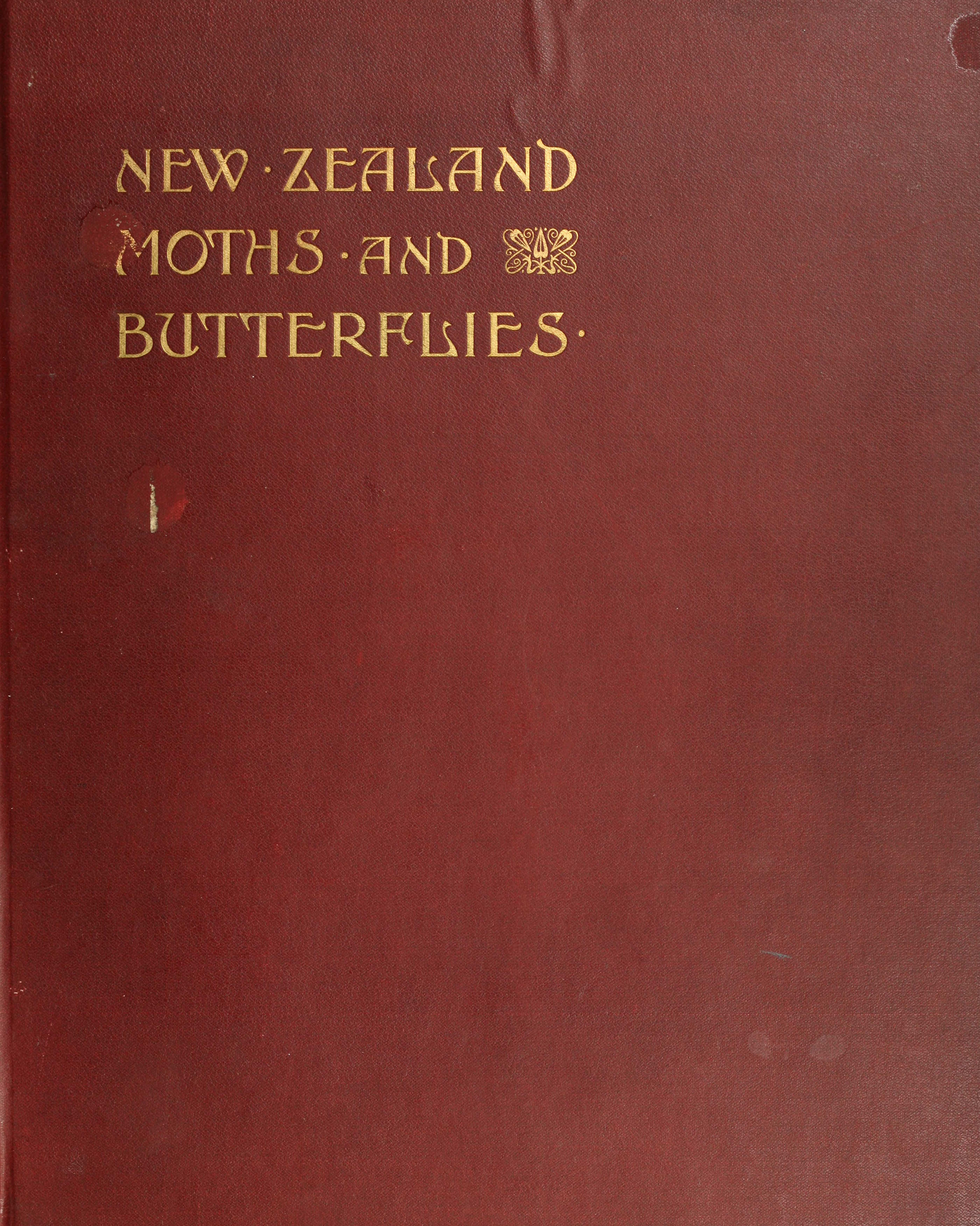 New Zealand Moths and Butterflies