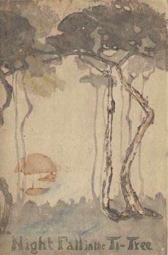 Night Fall in the Ti-Tree