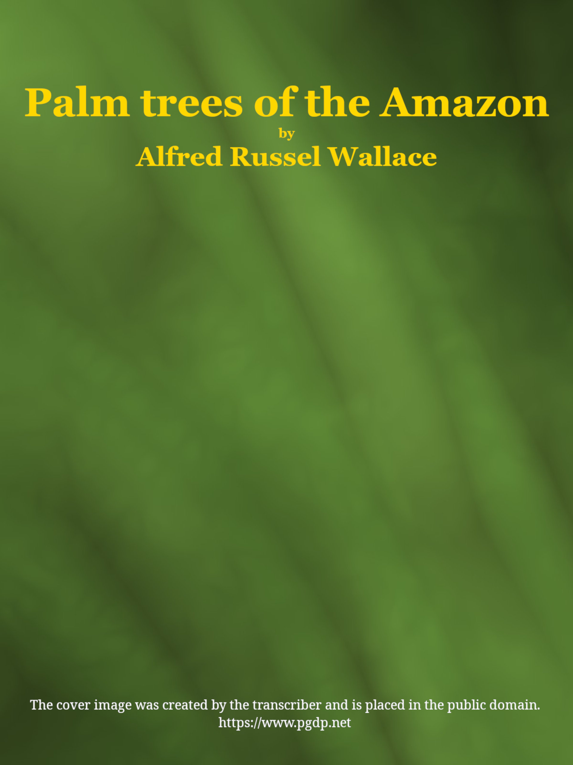 Palm trees of the Amazon