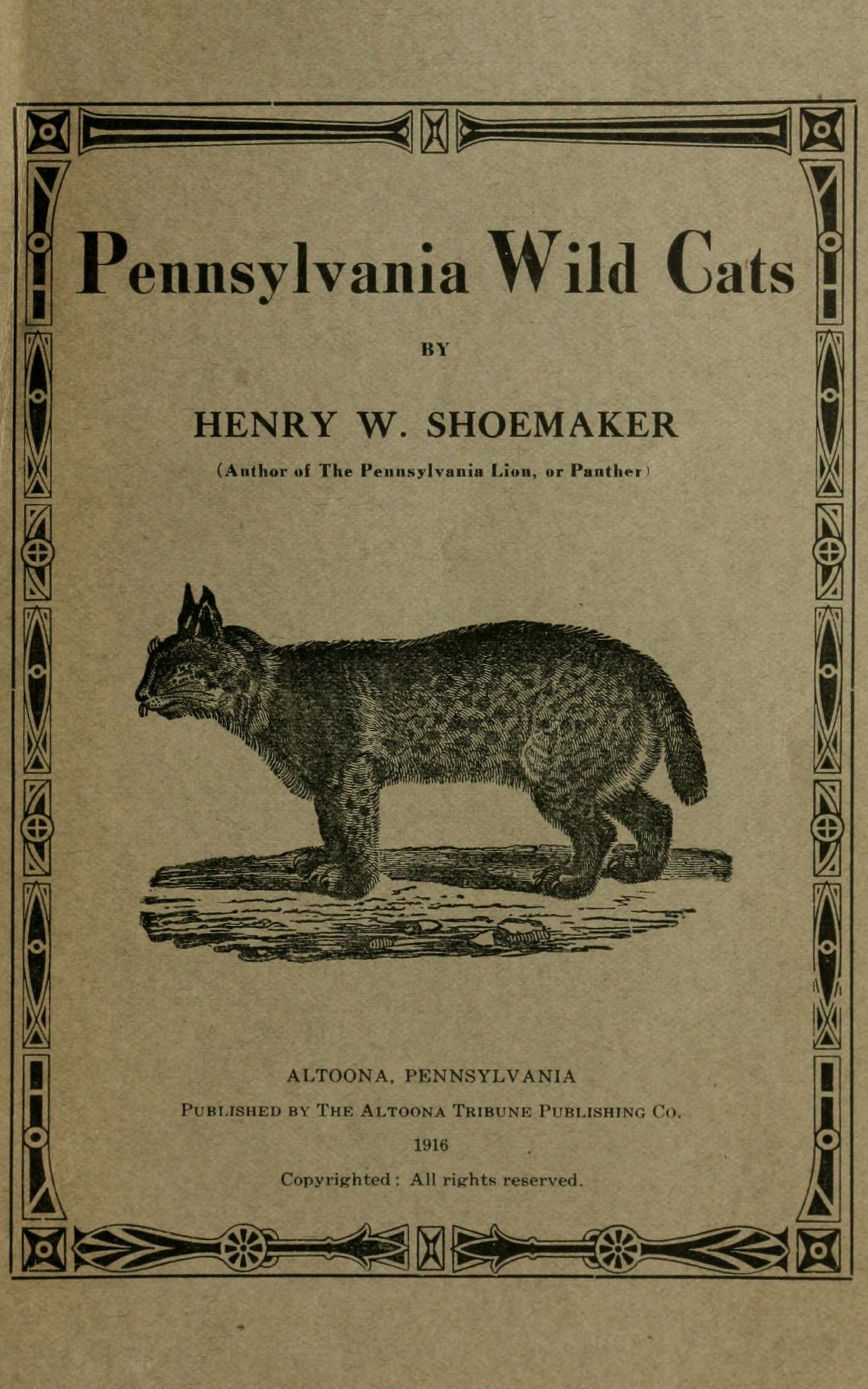 Pennsylvania Wild Cats