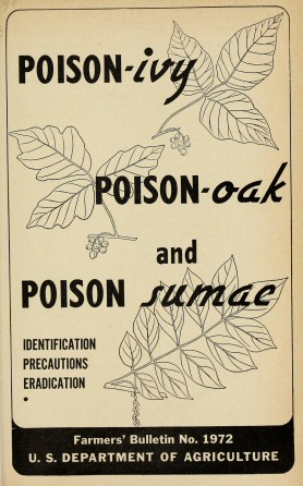 Poison-ivy, poison-oak and poison sumac