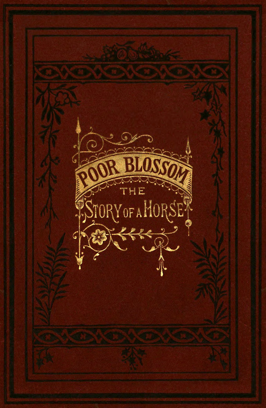Poor Blossom; the Story of a Horse