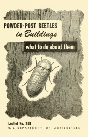 Powder-Post Beetles in Buildings
