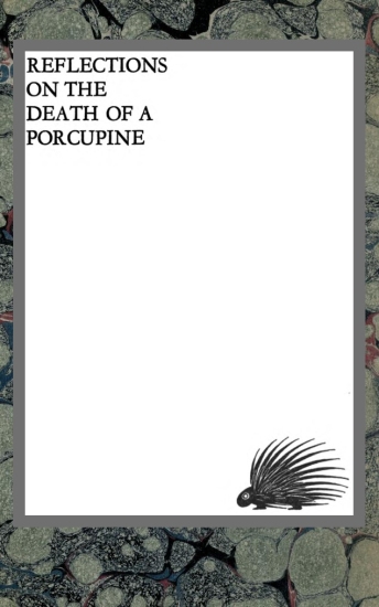 Reflections on the death of a porcupine