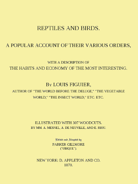 Reptiles and Birds