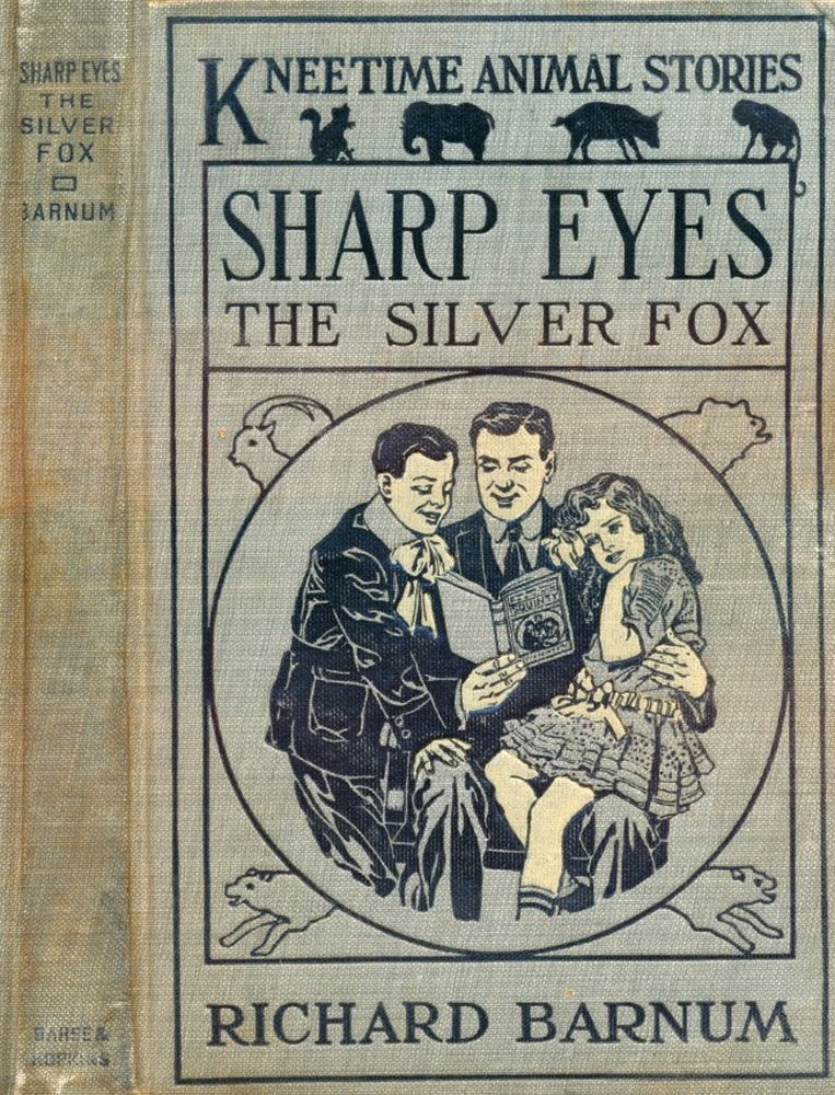 Sharp Eyes, the Silver Fox