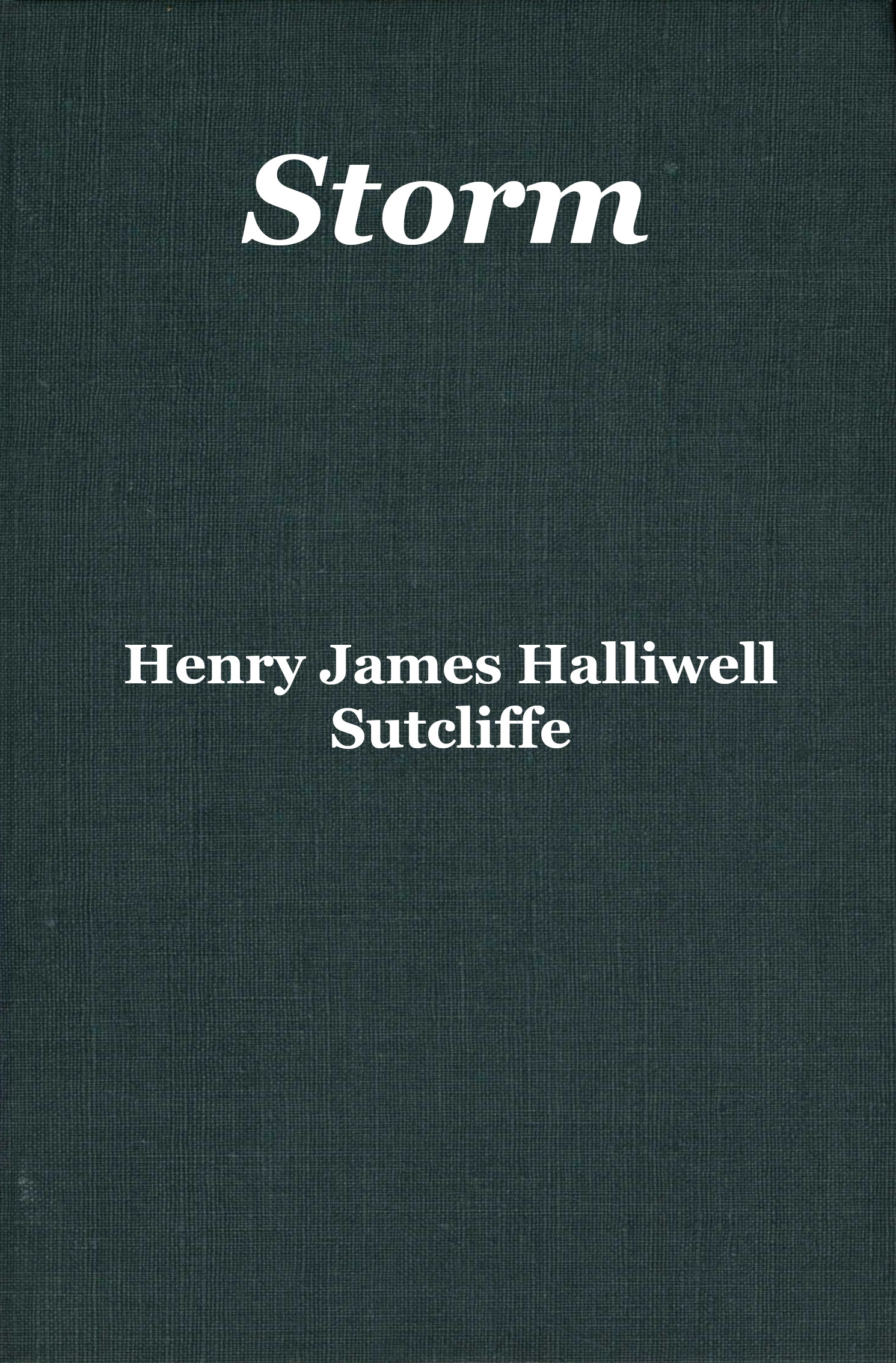 Storm by Henry James Halliwell Sutcliffe