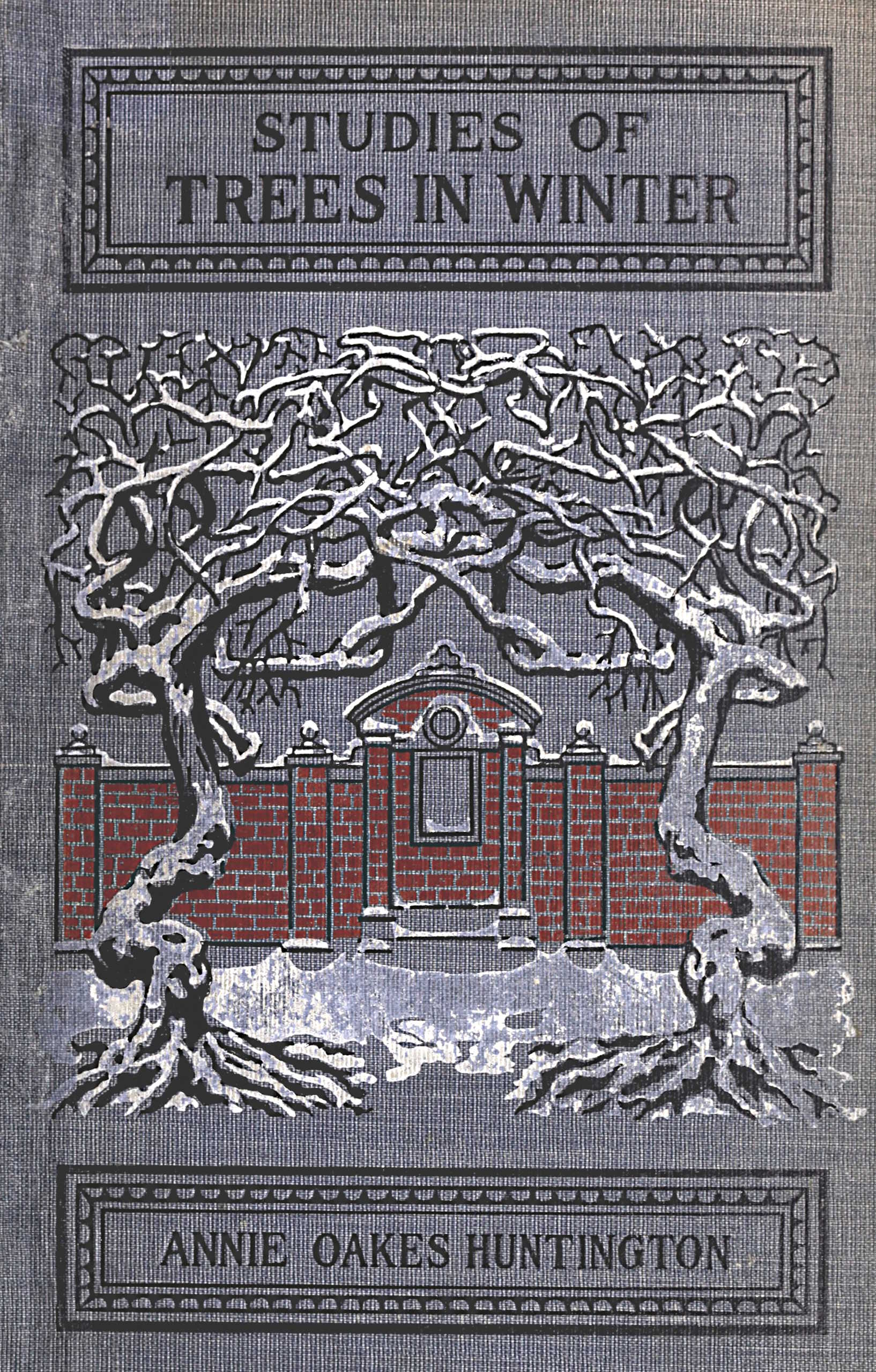 Studies of Trees in Winter