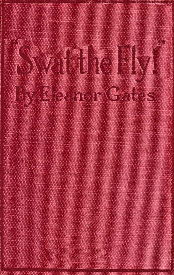 "Swat the Fly!"