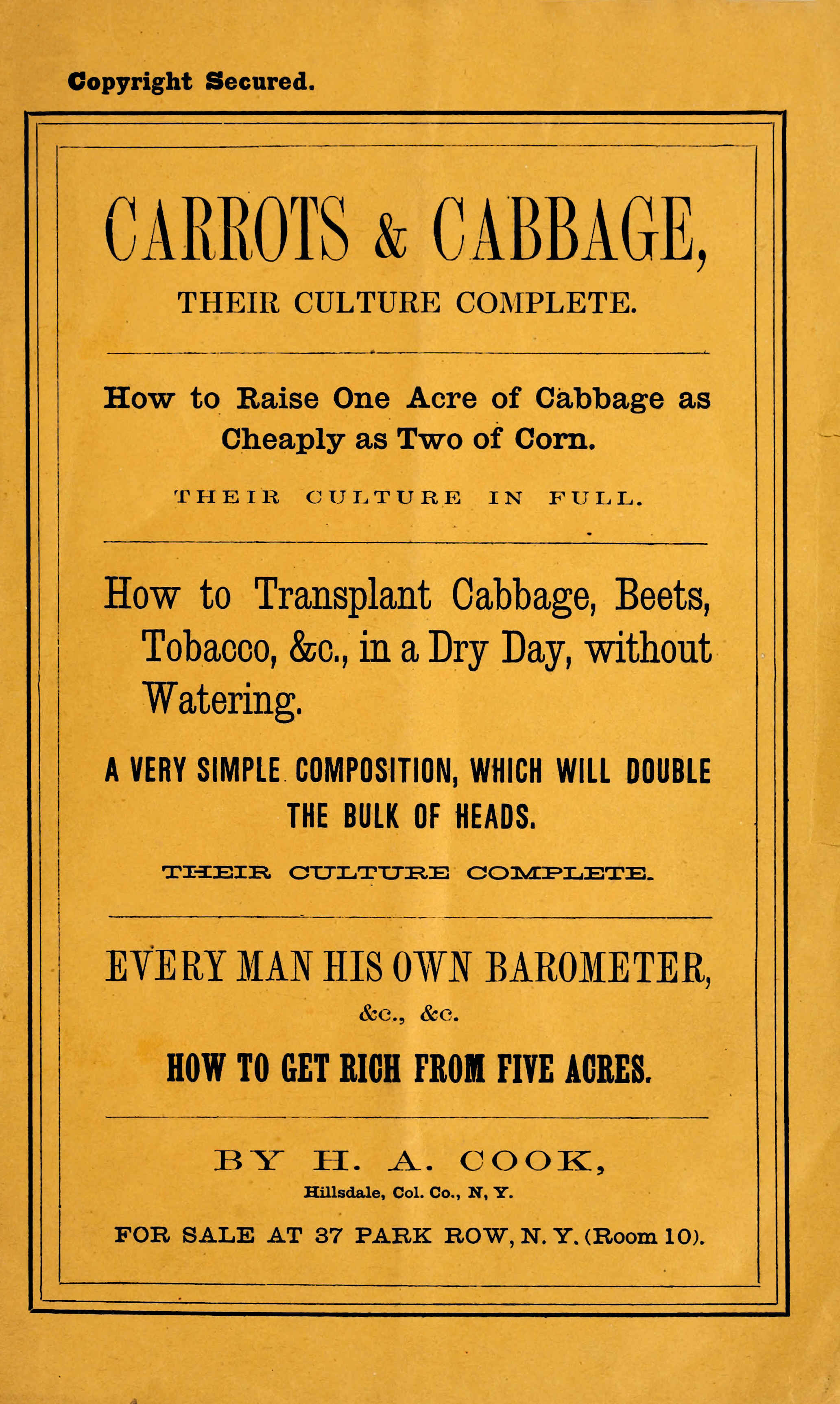 Ten years' experience in raising carrots and cabbage