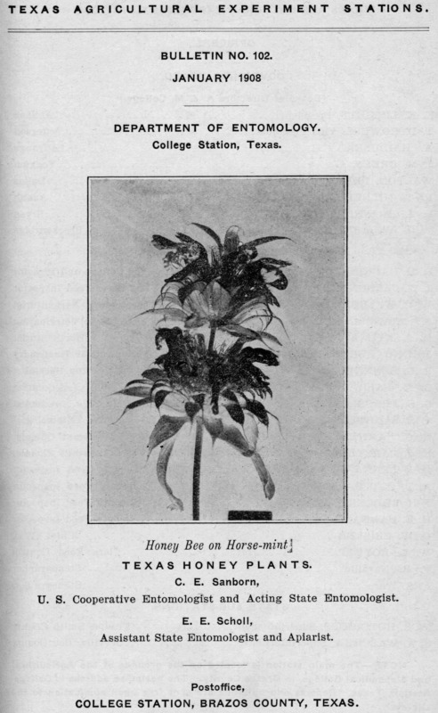 TEXAS HONEY PLANTS