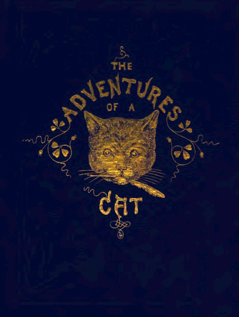 The Adventures of a Cat; and a fine cat too!