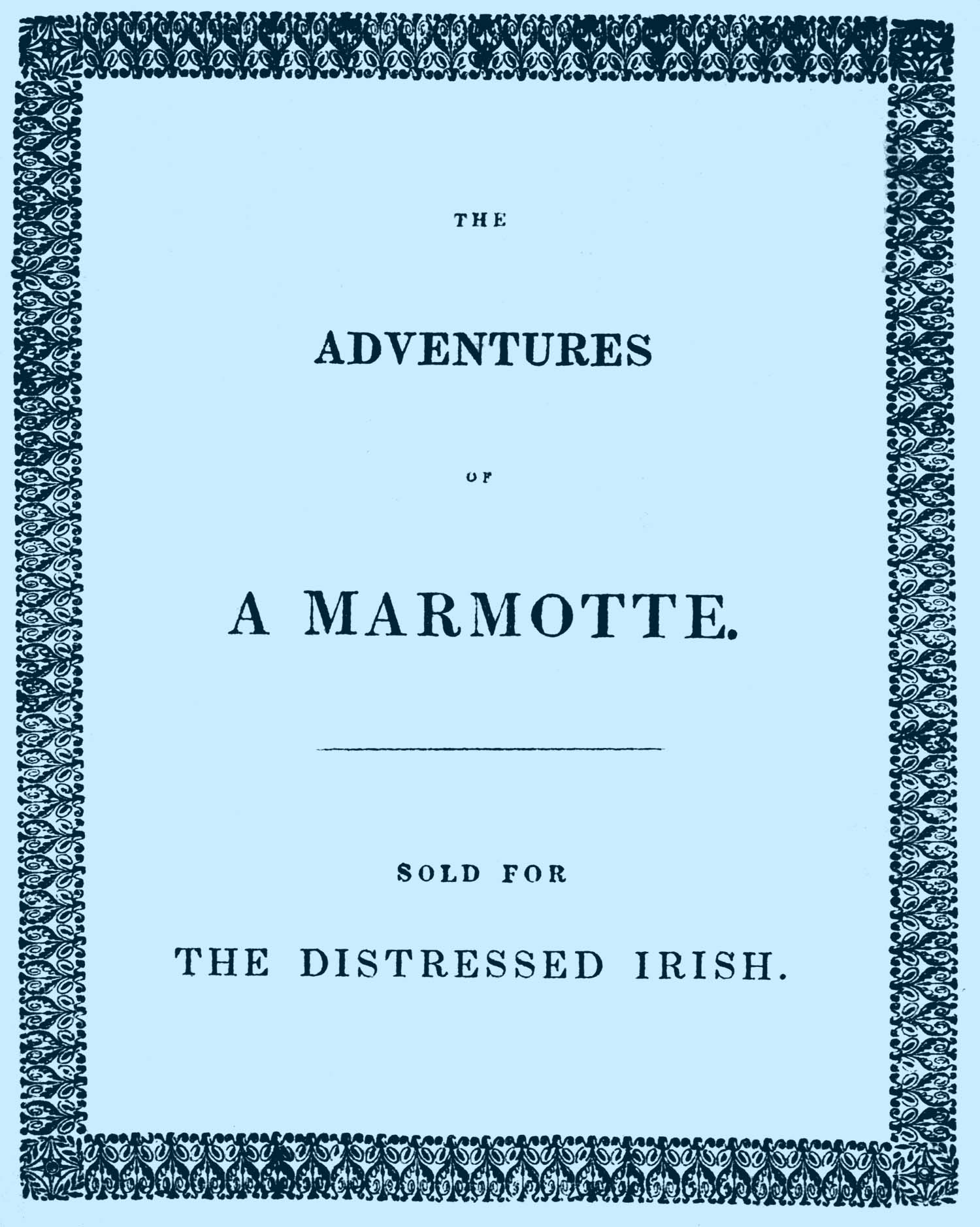 The Adventures of a Marmotte