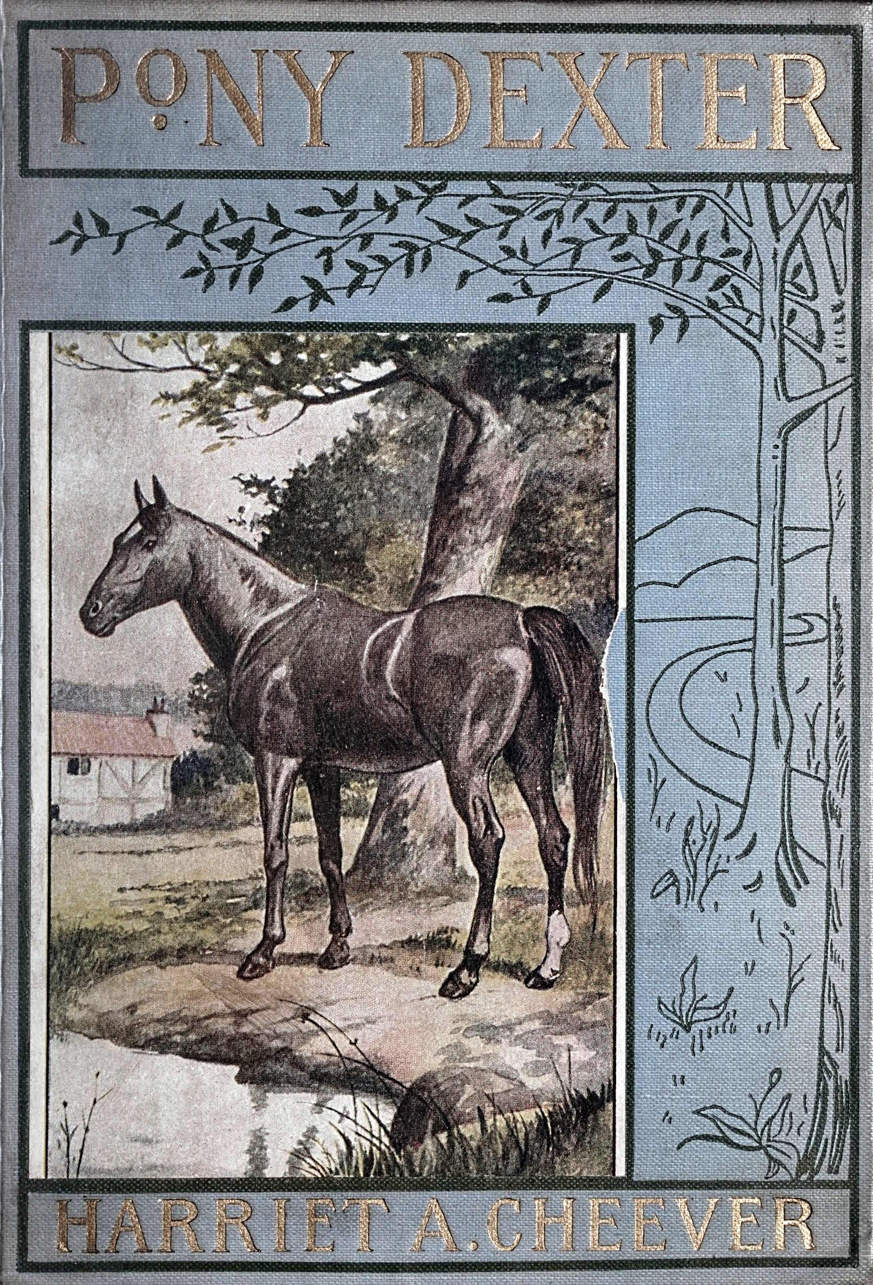 The Adventures of Pony Dexter