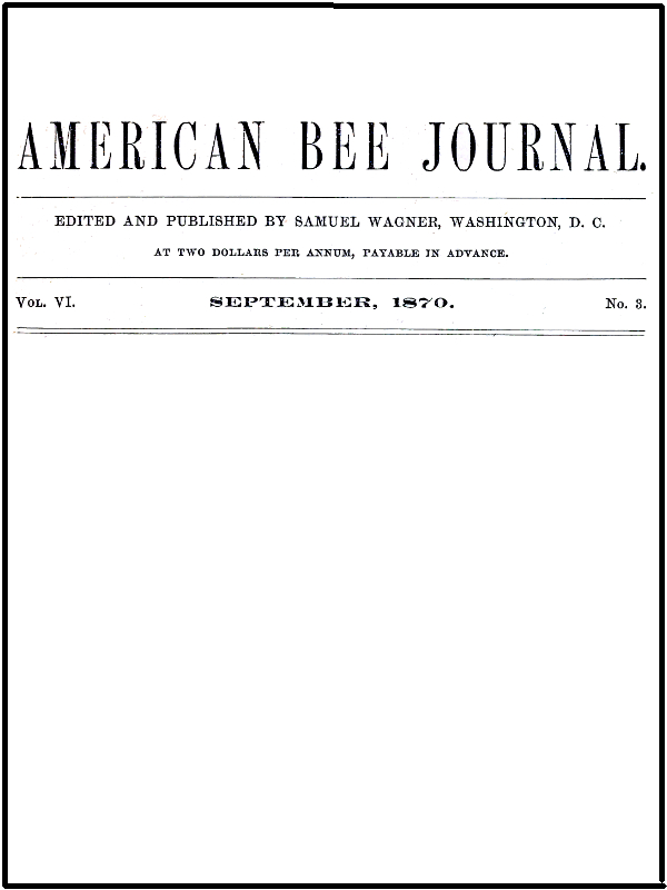 The American Bee Journal. Vol. VI. No. 3