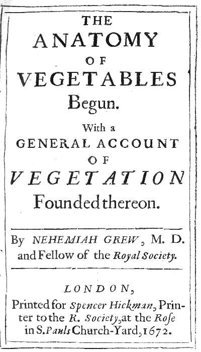 The Anatomy of Vegetables Begun