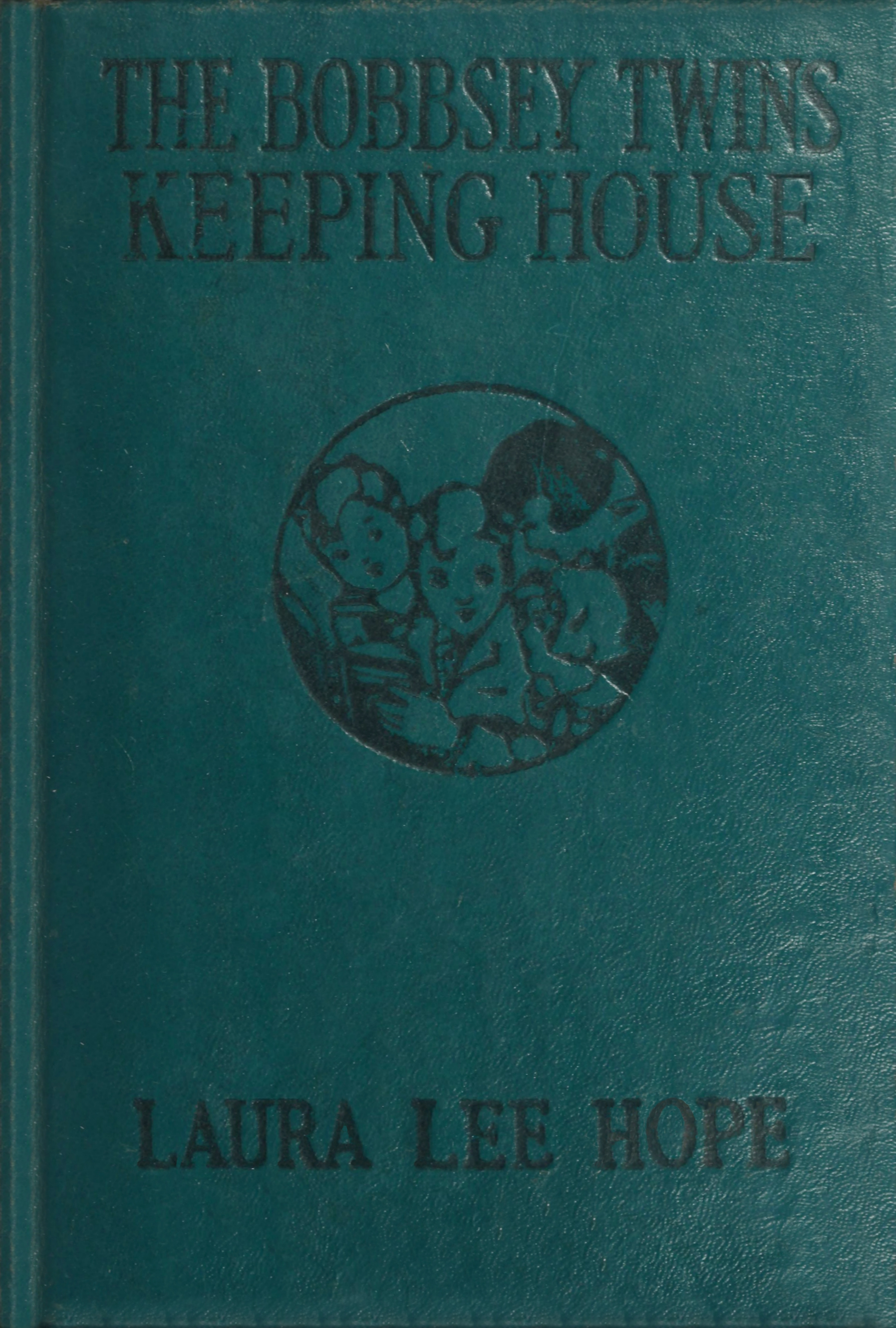 The Bobbsey Twins Keeping House