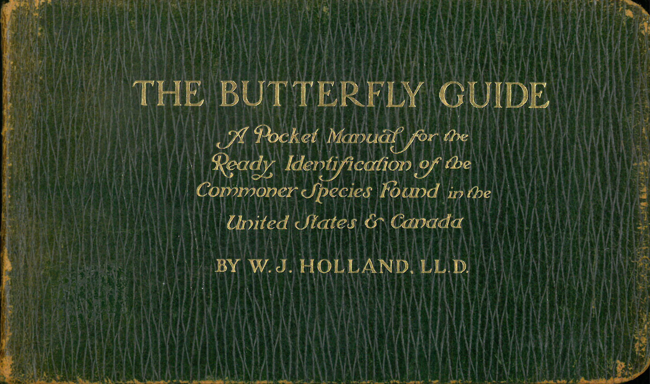 The Butterfly Guide