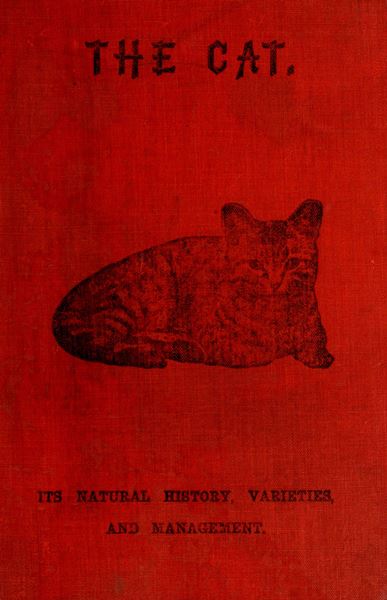 The Cat