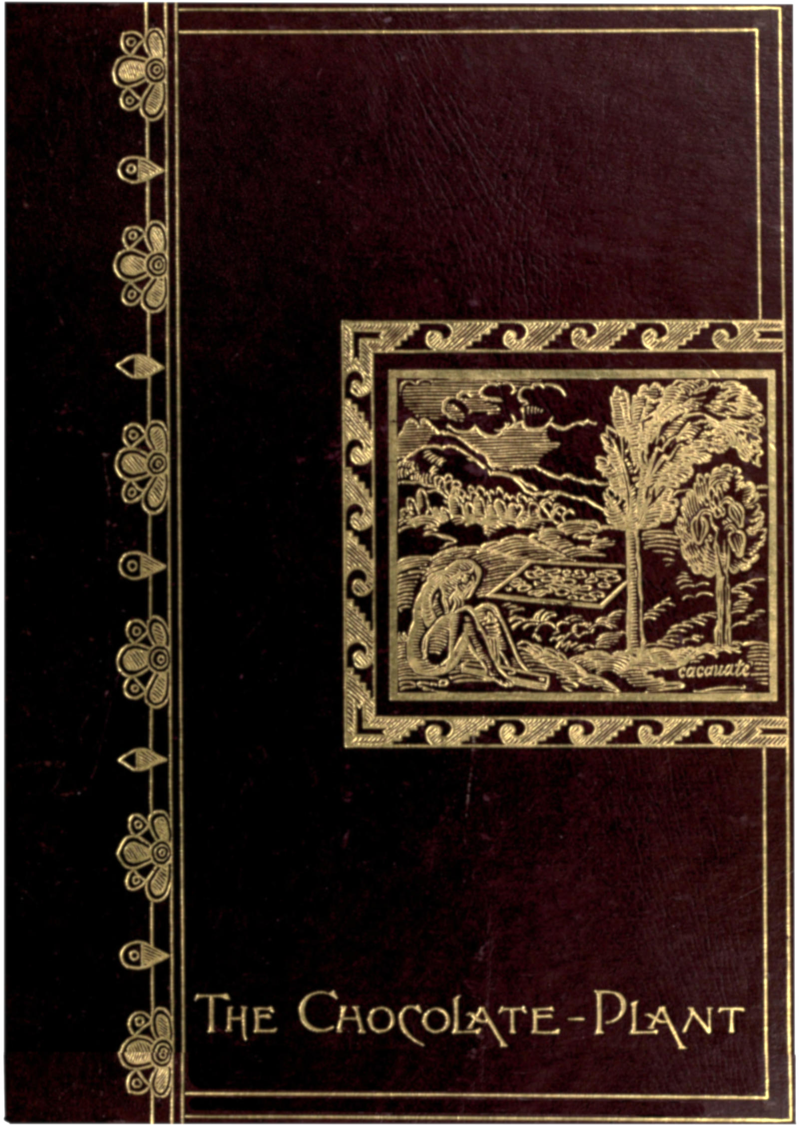 The Chocolate-Plant (Theobroma cacao) and its Products