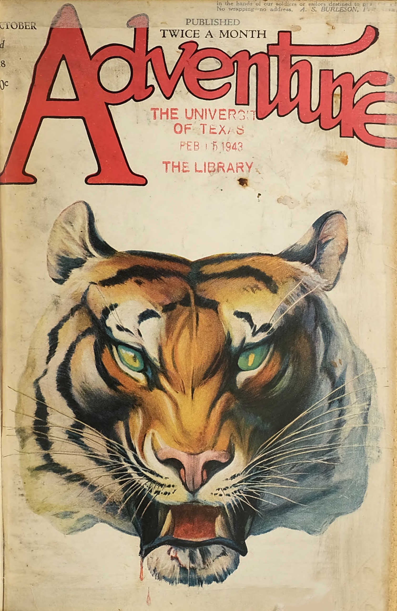 The Domestication of Dobie