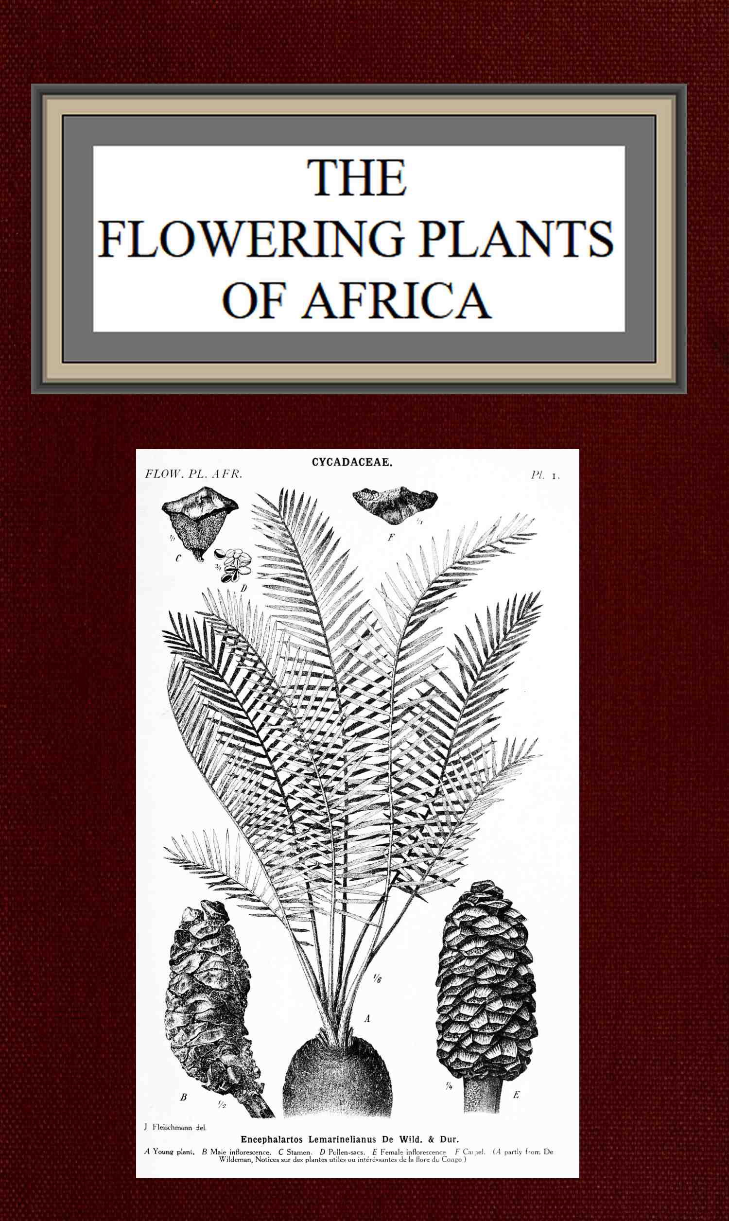 The Flowering plants of Africa