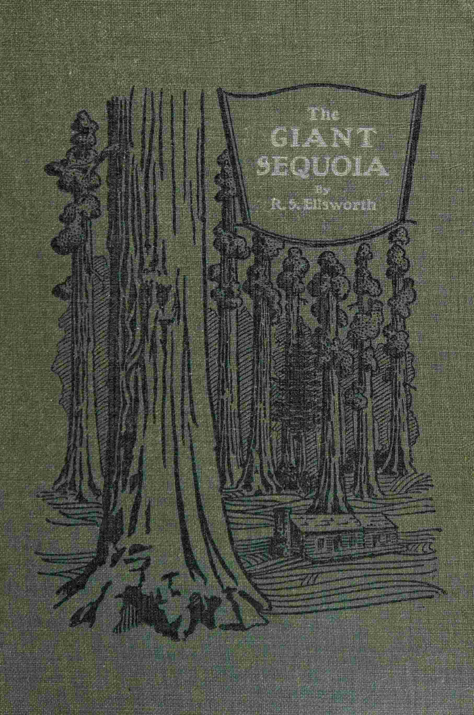 The Giant Sequoia