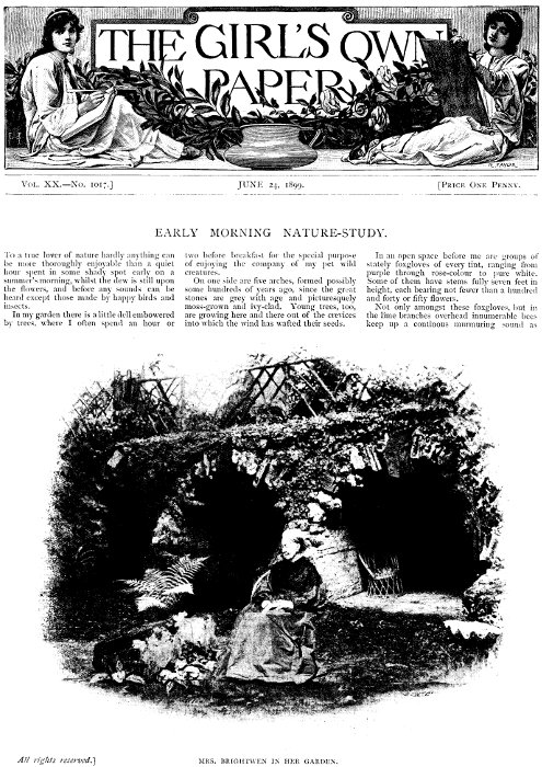 The Girl's Own Paper, Vol. XX. No. 1017