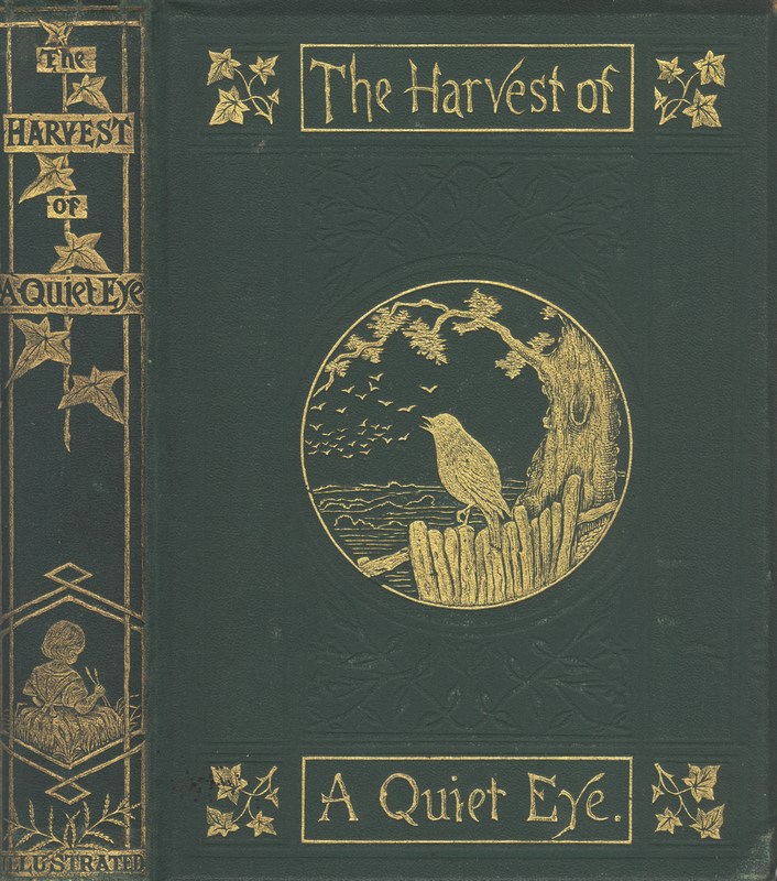 The Harvest of a Quiet Eye
