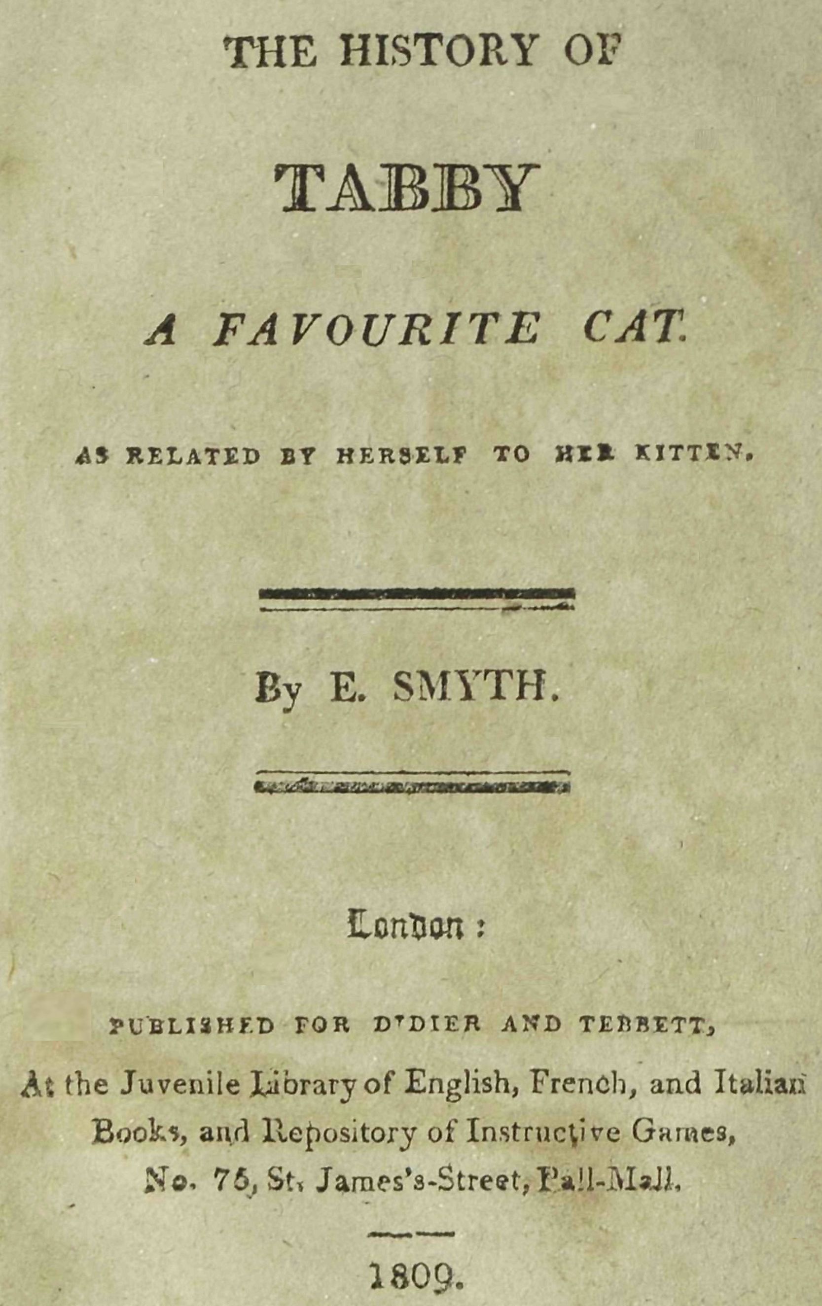 The history of Tabby, a favourite cat