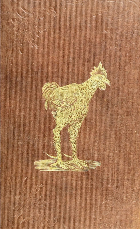 The History of the Hen Fever