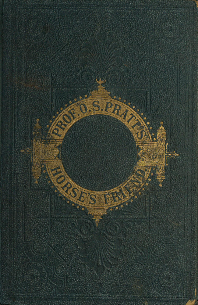 The Horse’s Friend