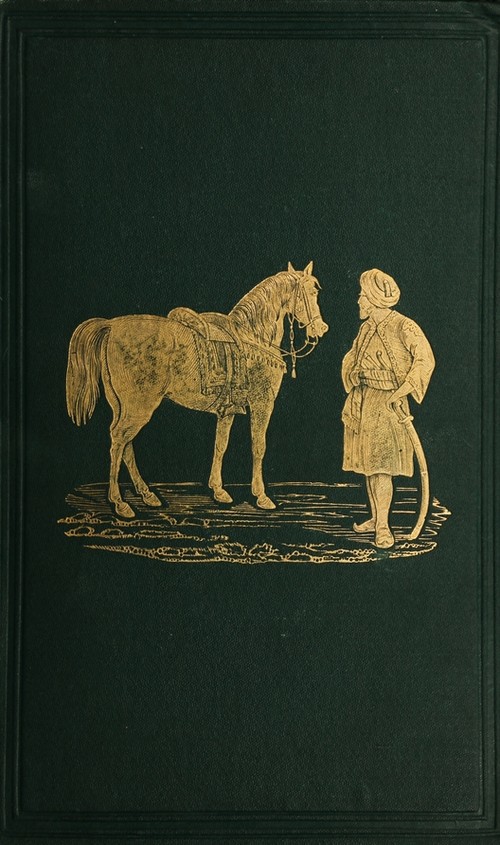 The Horses of The Sahara