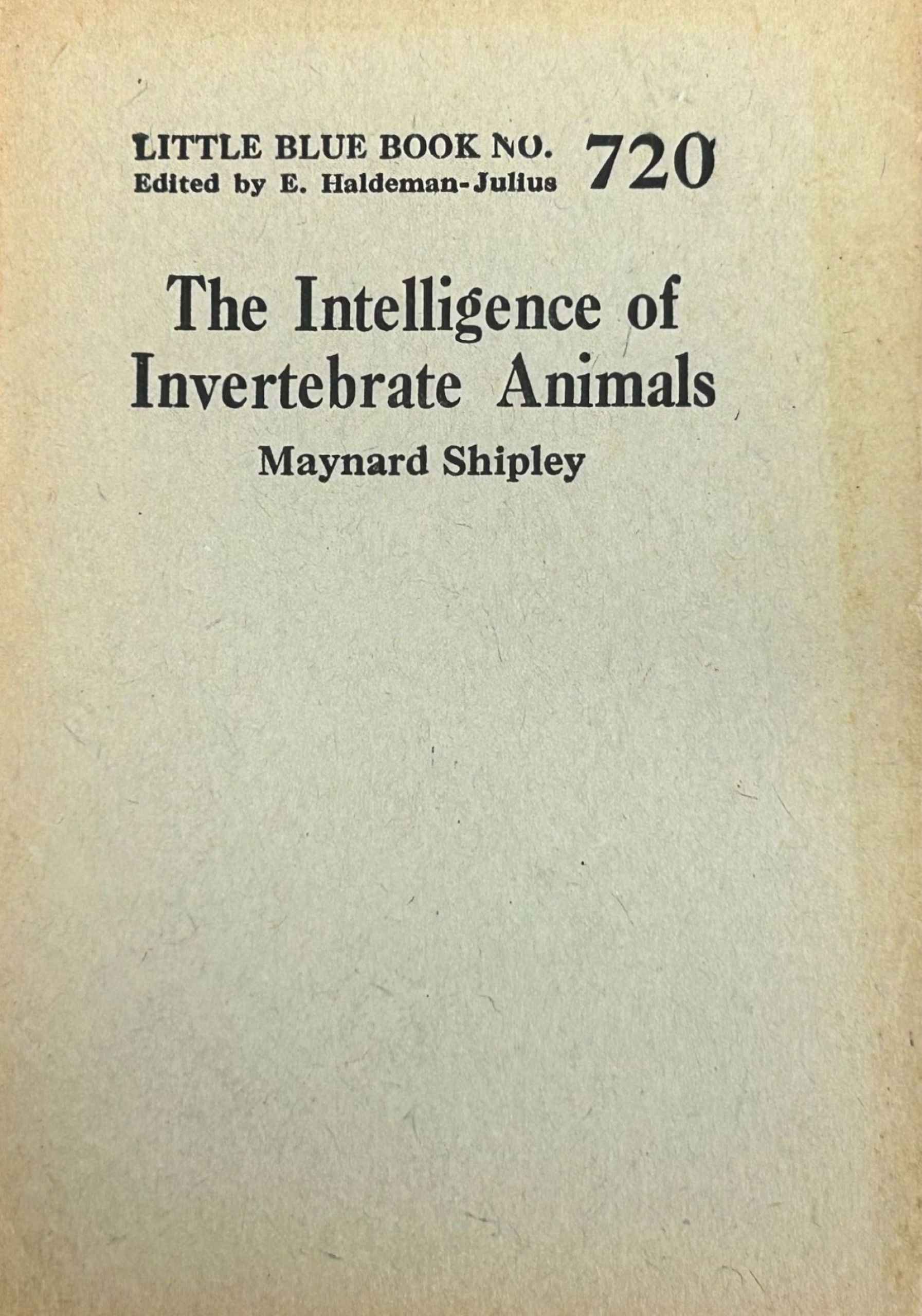 The Intelligence of Invertebrate Animals