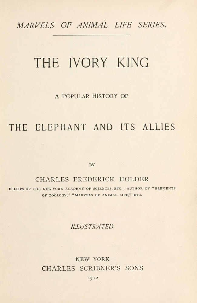 The Ivory King