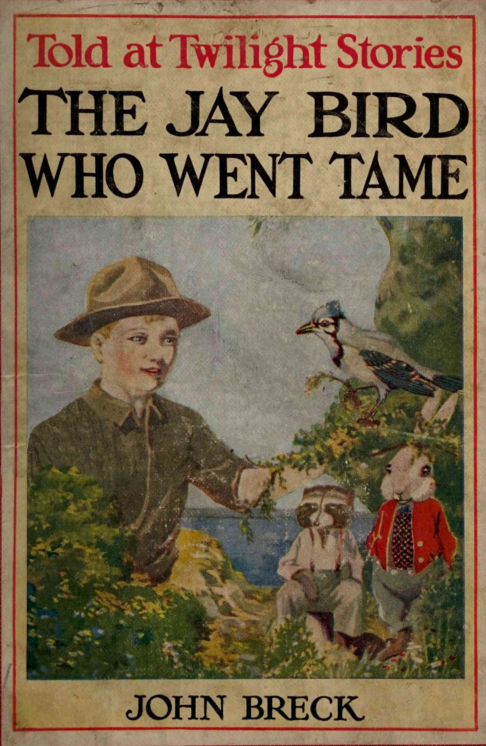 The Jay Bird Who Went Tame