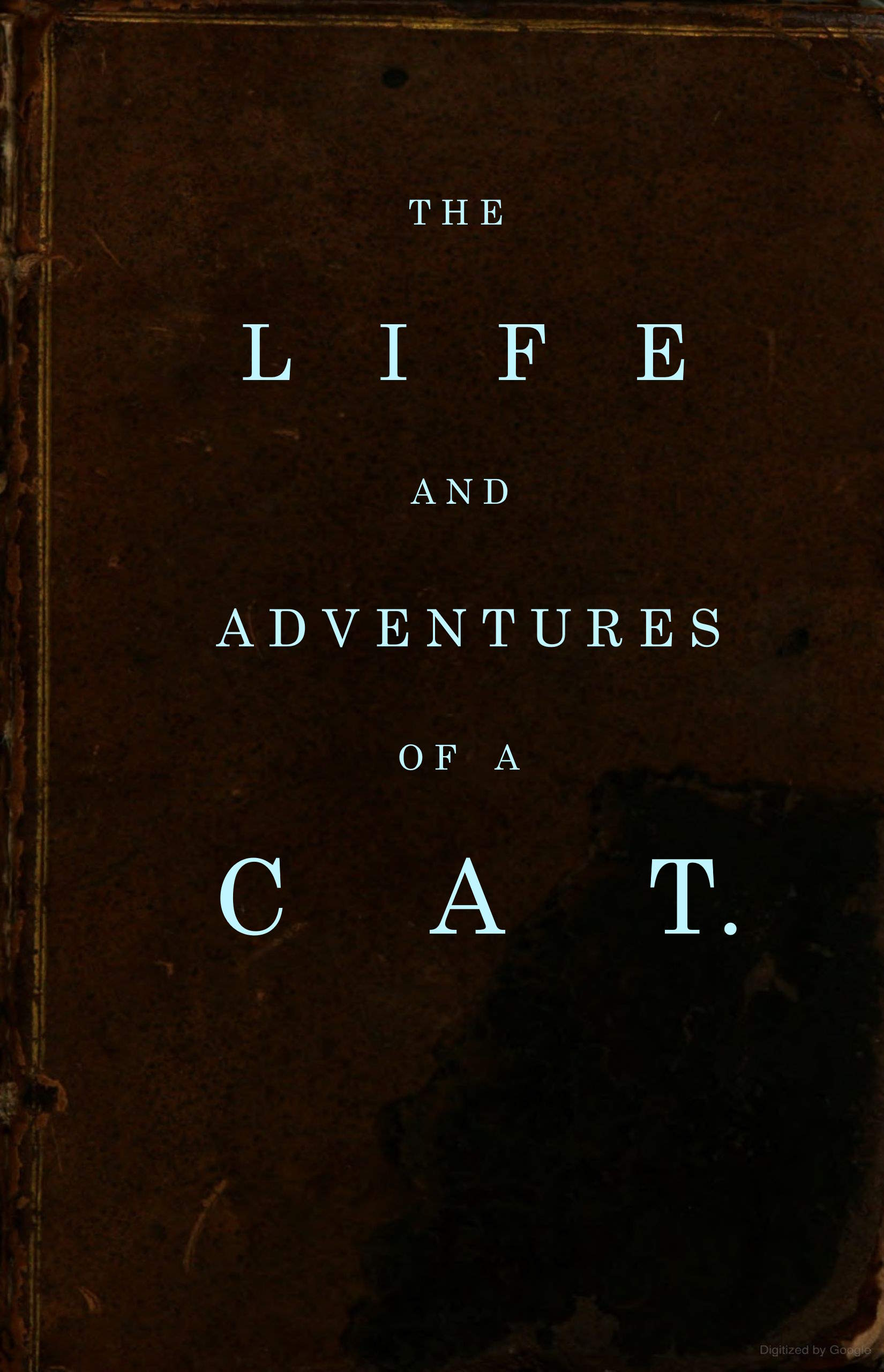 The life and adventures of a cat