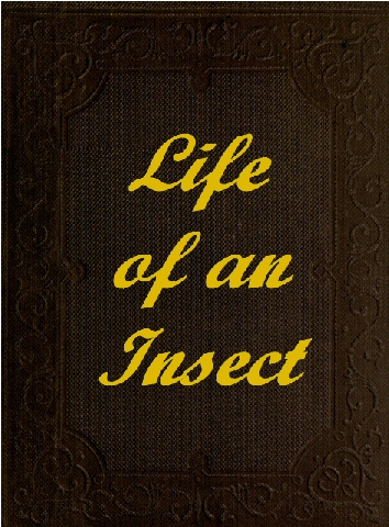 The Life of an Insect being a history of the changes of insects from the egg to the perfect being.