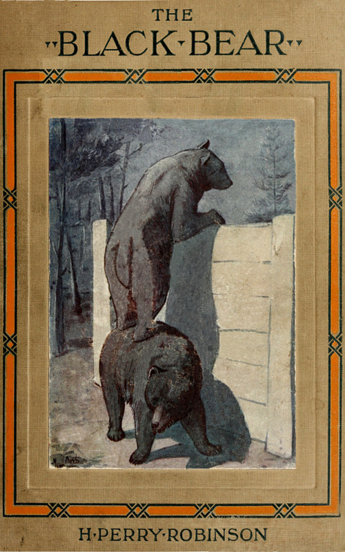 The Life Story of a Black Bear