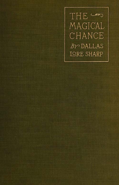 The Magical Chance